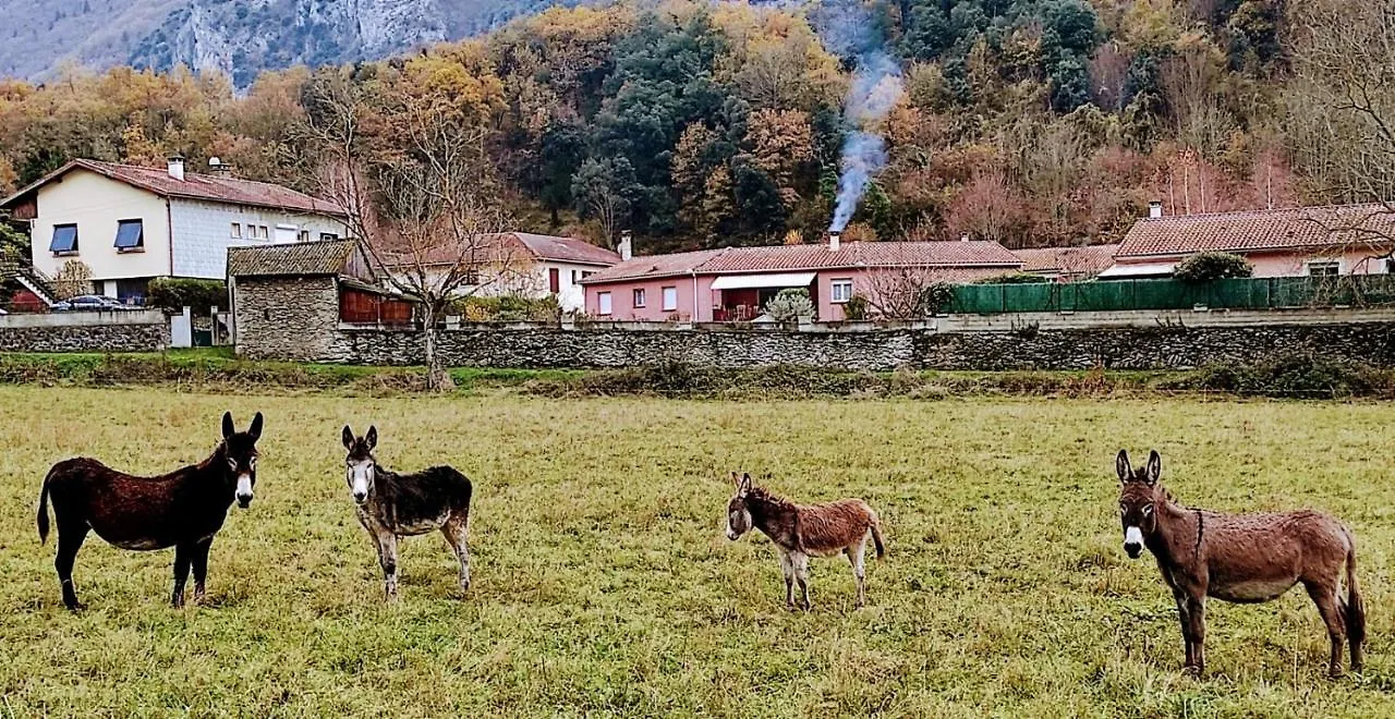 Appartement Le Nopal Bleu à Tarascon-sur-Ariège 0*,